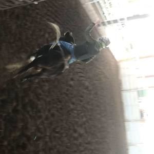 Meet your Posher, Jim